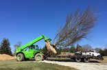 HF Johnson Tree Farm Equipment