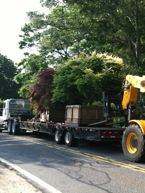 HF Johnson Tree Farm Boston