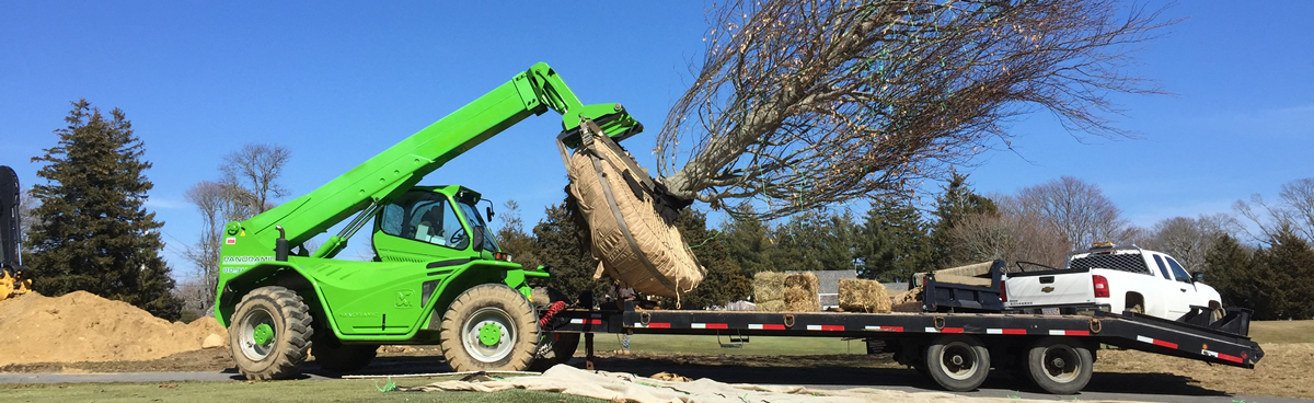 HF Johnson Tree Farm